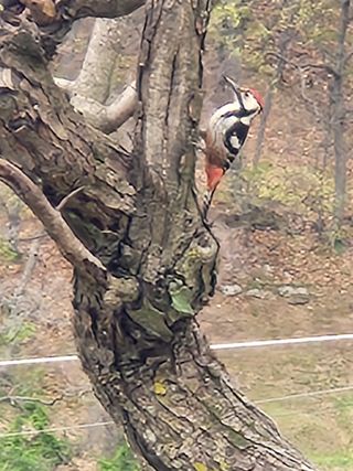 개울건너집님의 자유주제 · 자유게시판 작성글 사진