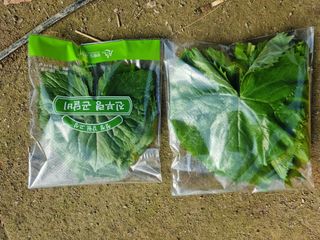 최종범님의 작성글 사진