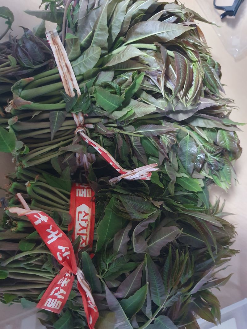 상주백수농원 님의 장터 판매 상품 [참죽순 1kg  20,000원] 첨부 사진