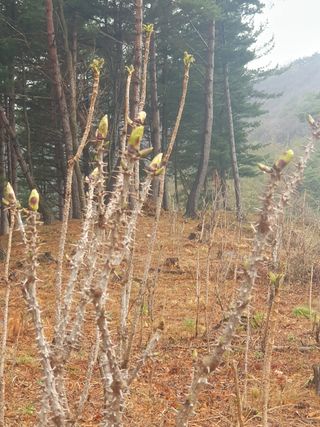 인생은 소풍처럼~님의 작성글 사진