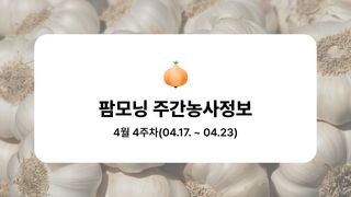마늘 농사도우미님의 마늘 · 마늘 쪽 비대기 작성글 사진