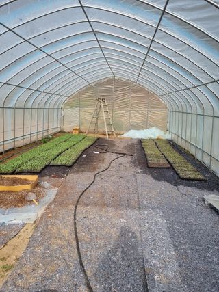 이완구님의 옥수수 · 자유게시판 작성글 사진