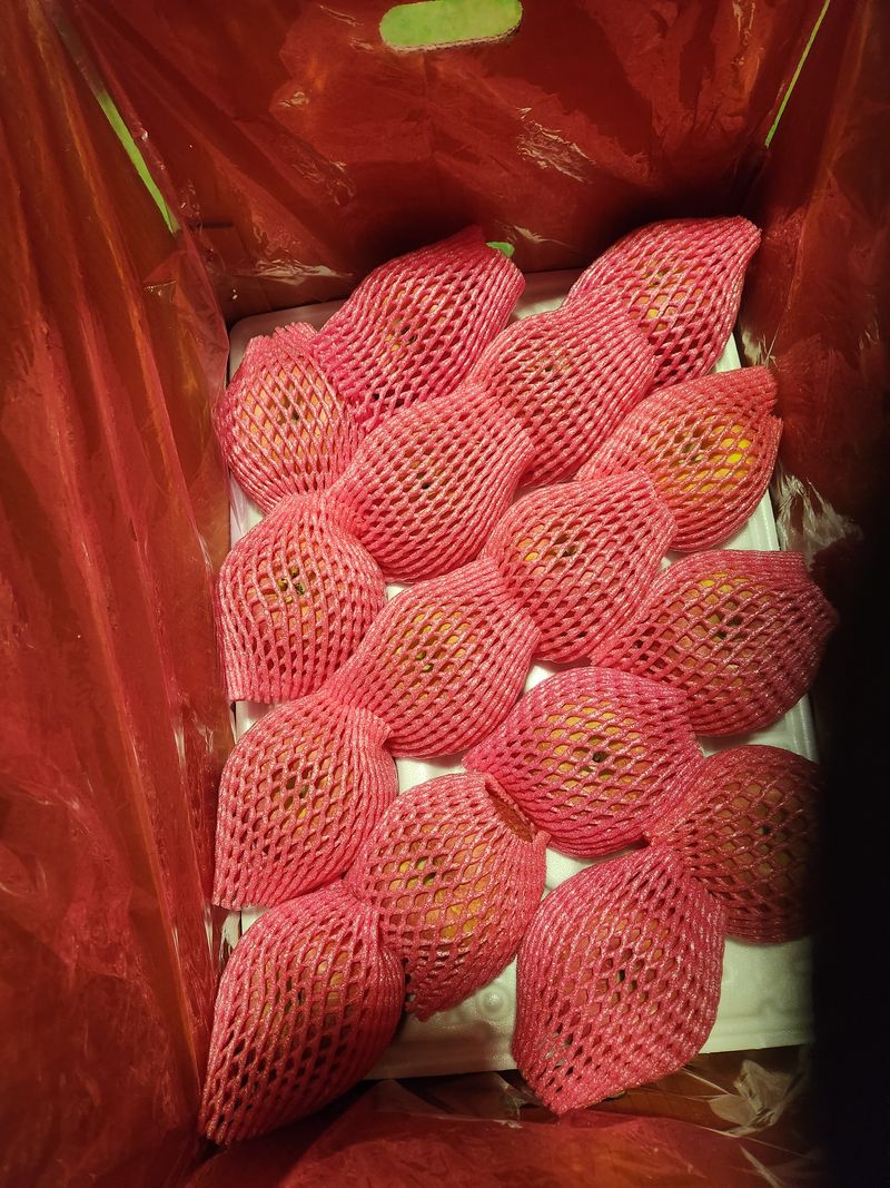 꽃다지사과농원님의 장터 판매 상품 [사과5키로20과] 첨부 사진