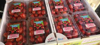 정오농장님의 작성글 사진