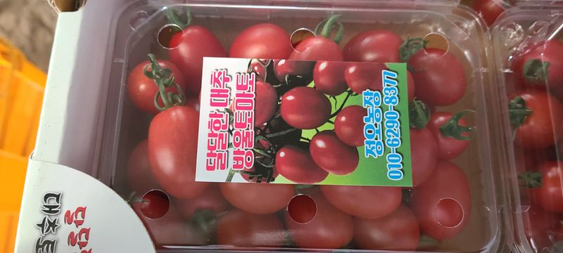 정오농장님의 장터 판매 상품 [달달한 대추 방울토마토 3kg] 첨부 사진
