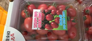 정오농장님의 작성글 사진