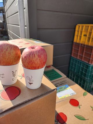 이원정님의 작성글 사진