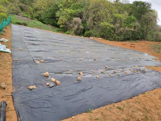이남신님의 호박 · 자유게시판 작성글 사진
