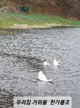 팜모닝 자유주제·사진전 게시글 이미지