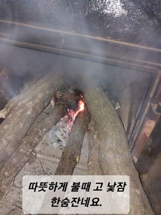 갑중봉황커피사과농장님의 자유주제 · 사진전 작성글 사진