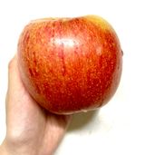 팜모닝 자유주제·자유게시판 게시글 이미지