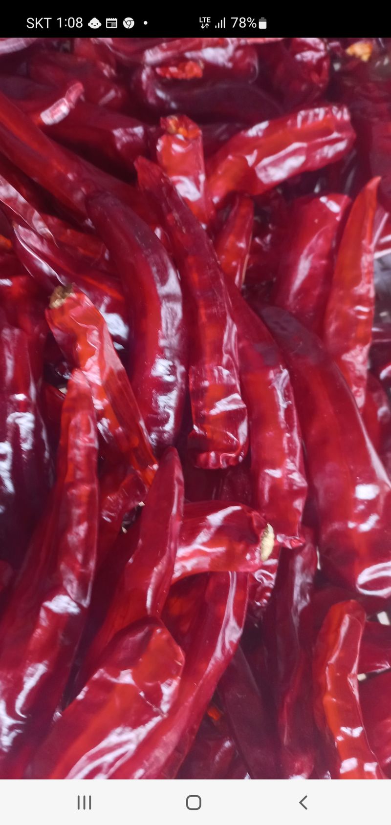 장터 상품 [고추가루 600g1근] 썸네일