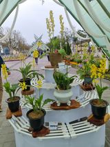 팜모닝 자유주제·자유게시판 게시글 이미지