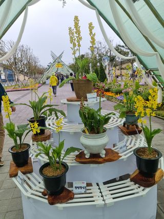 장준석님의 자유주제 · 자유게시판 작성글 사진