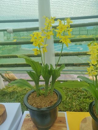 장준석님의 자유주제 · 자유게시판 작성글 사진