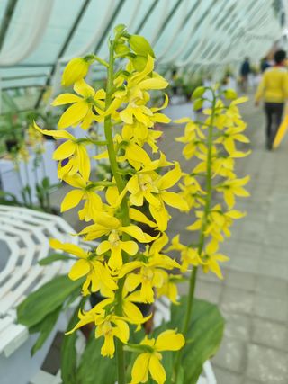 장준석님의 자유주제 · 자유게시판 작성글 사진