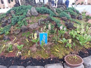 장준석님의 자유주제 · 자유게시판 작성글 사진