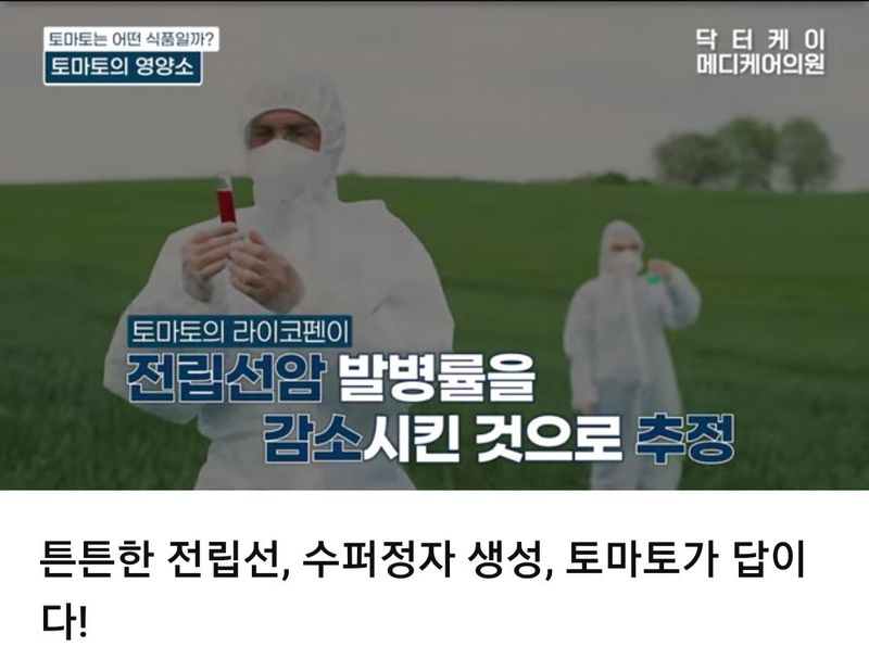 김지연님의 장터 판매 상품 [짭짤이 토마토즙100% (50포) 택배3,000원] 첨부 사진