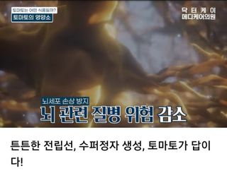 김지연님의 작성글 사진