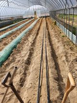 팜모닝 고추·일상 게시글 이미지