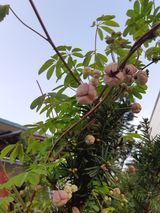 팜모닝 자유주제·자유게시판 게시글 이미지