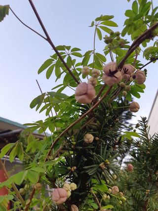 자부님의 자유주제 · 자유게시판 작성글 사진