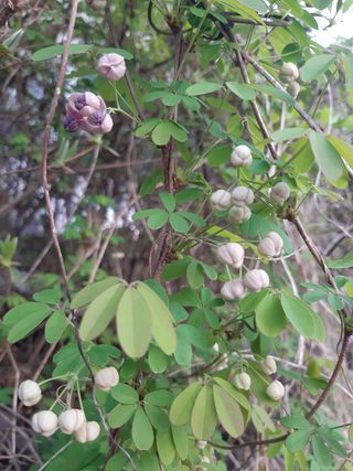 자부님의 자유주제 · 자유게시판 작성글 사진