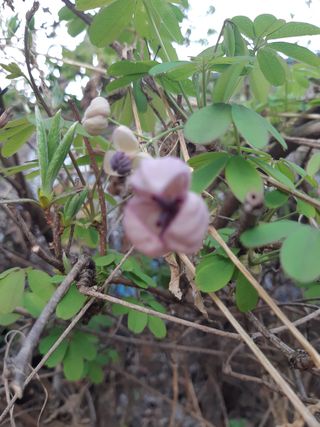 자부님의 자유주제 · 자유게시판 작성글 사진