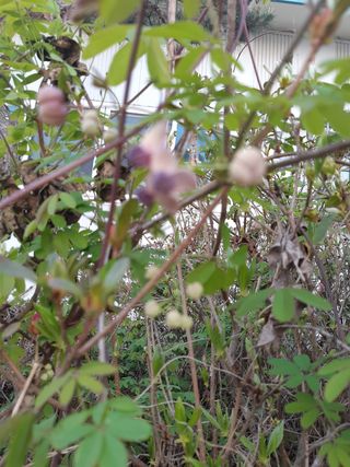 자부님의 자유주제 · 자유게시판 작성글 사진