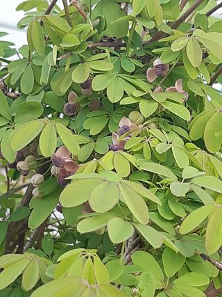 자부님의 자유주제 · 자유게시판 작성글 사진