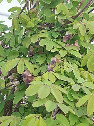 자부님의 자유주제 · 자유게시판 작성글 사진