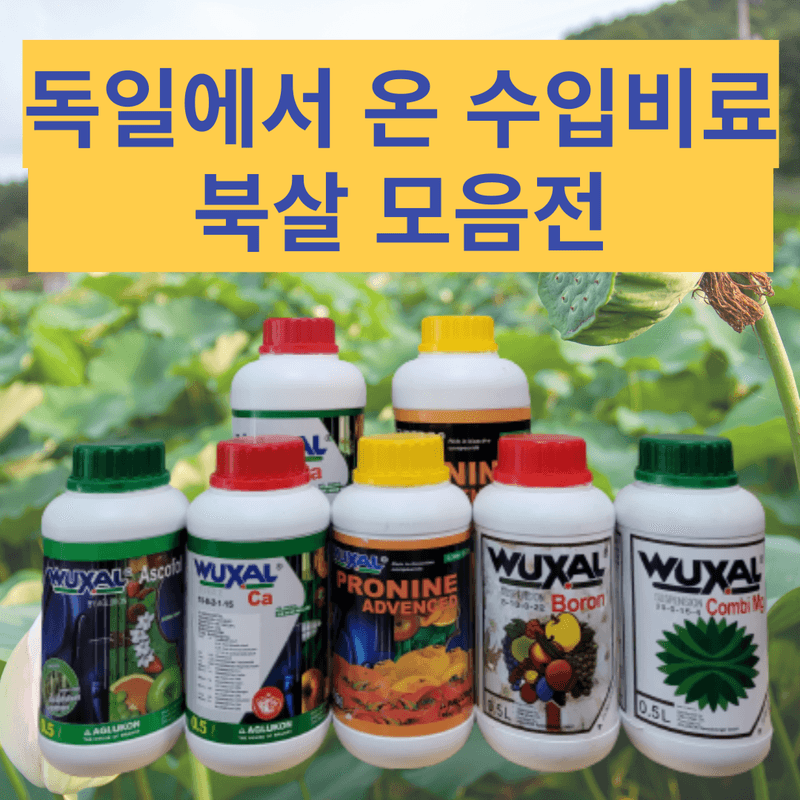 장터 상품 [독일 수입 고급비료 북살 모음전] 썸네일