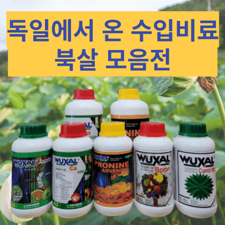 정호영님의 작성글 사진