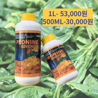 정호영님의 작성글 사진