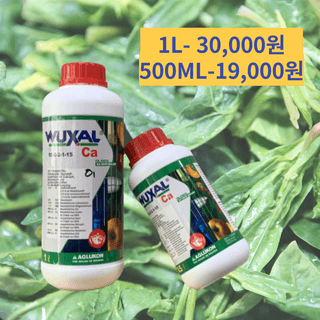 정호영님의 작성글 사진