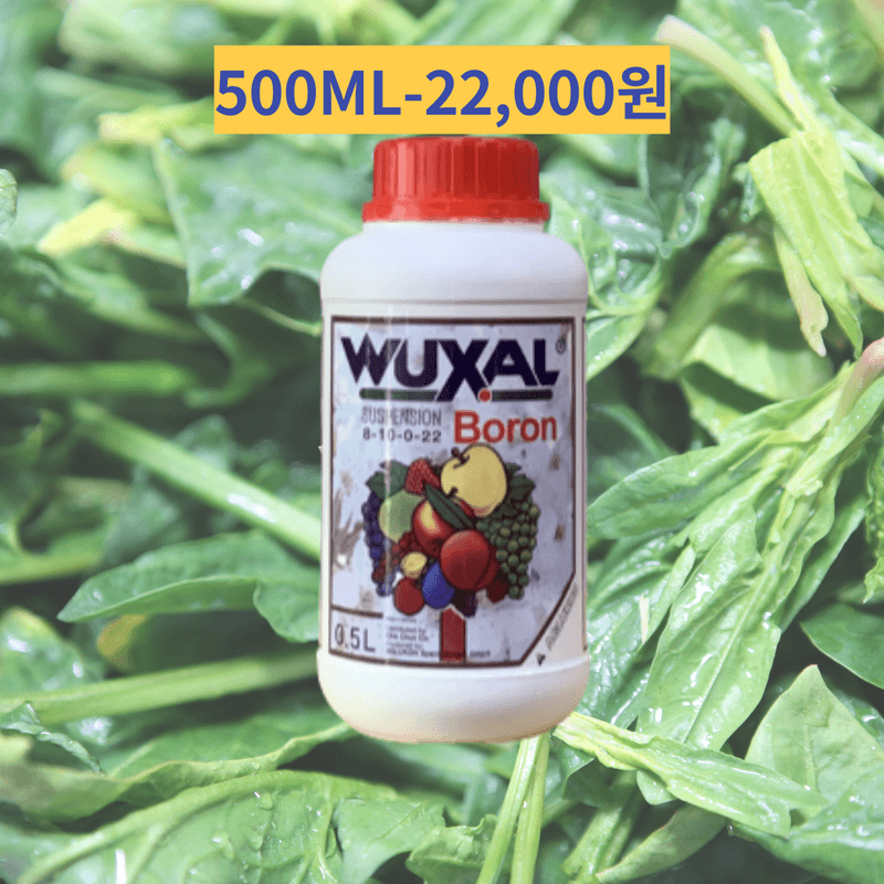 정호영님의 장터 판매 상품 [독일 수입 고급비료 북살 모음전] 첨부 사진