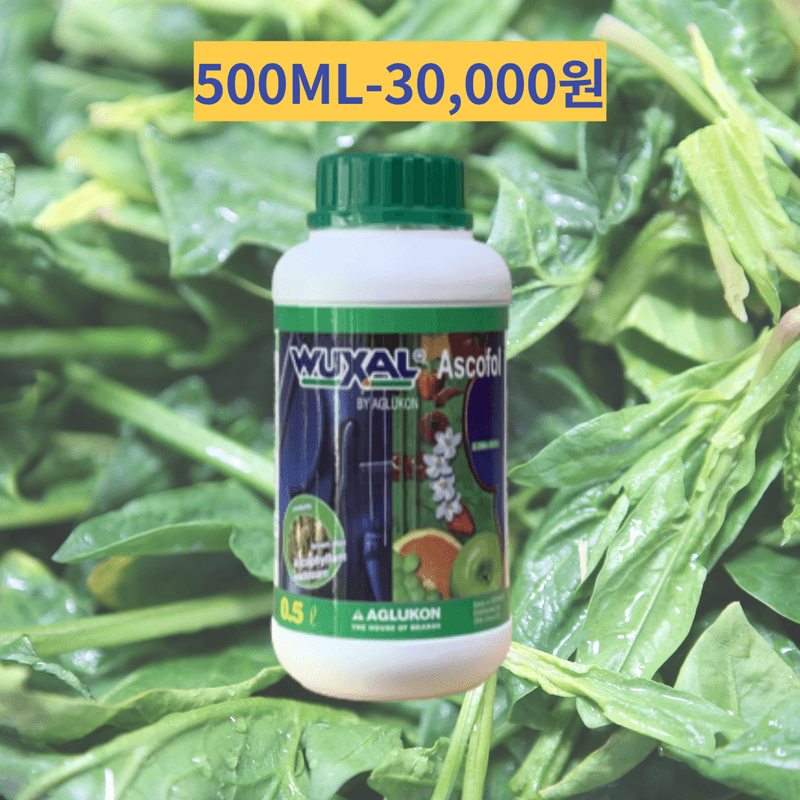 정호영님의 장터 판매 상품 [독일 수입 고급비료 북살 모음전] 첨부 사진