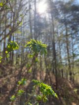 팜모닝 · 게시글 이미지