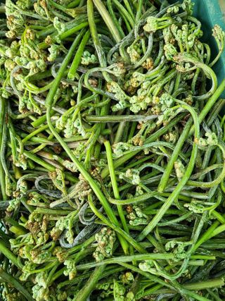 조인영님의 작성글 사진