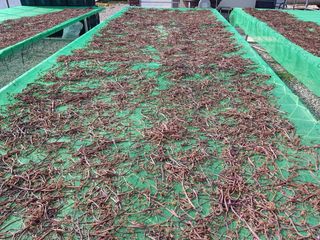 조인영님의 작성글 사진