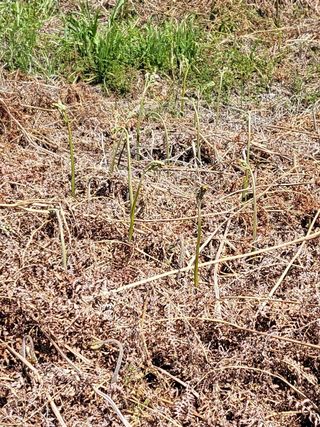 조인영님의 작성글 사진