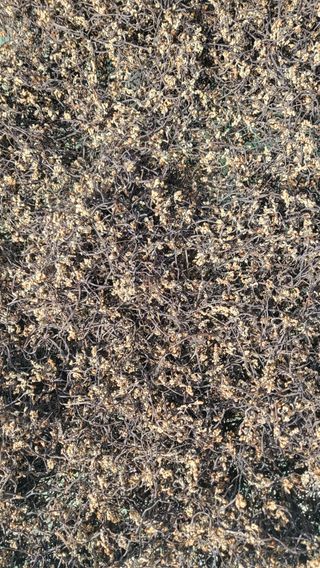 조인영님의 작성글 사진