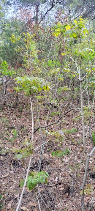 농사꾼 단비님의 자유주제 · 자유게시판 작성글 사진