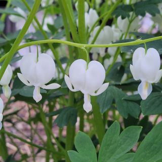 농사꾼 단비님의 자유주제 · 자유게시판 작성글 사진