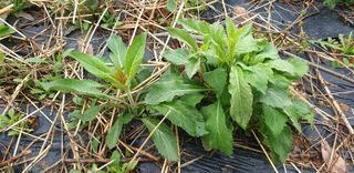 황강순님의 작성글 사진