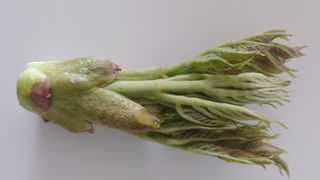 이용일님의 자유주제 · 자유게시판 작성글 사진