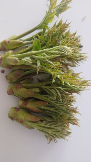 이용일님의 자유주제 · 자유게시판 작성글 사진