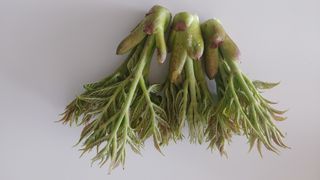 이용일님의 자유주제 · 자유게시판 작성글 사진