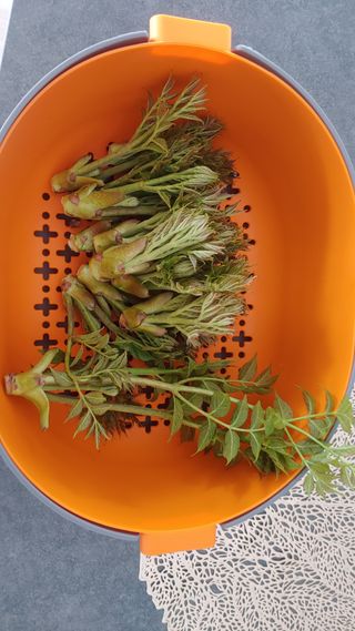 이용일님의 자유주제 · 자유게시판 작성글 사진