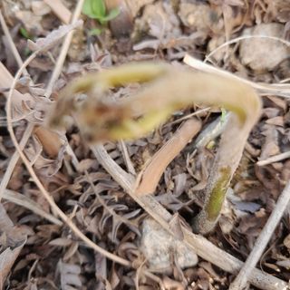 윤복례님의 자유주제 · 건의해요 작성글 사진